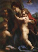 Andrea del Sarto Our Lady of sub oil painting on canvas